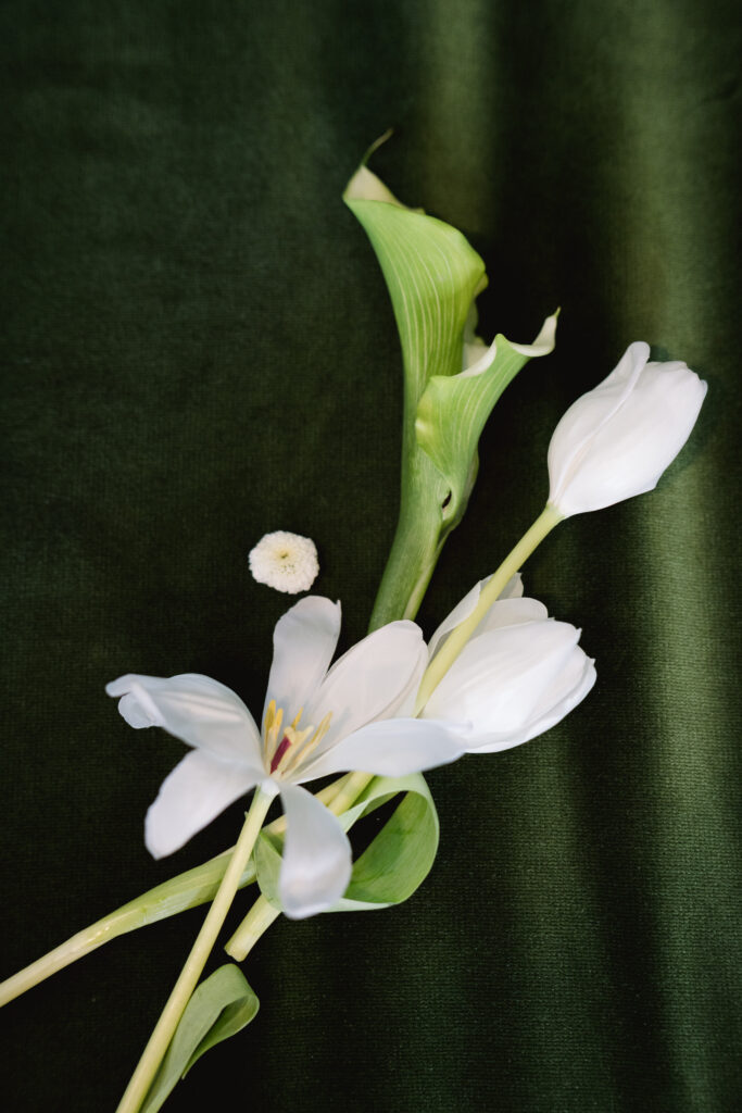 Hayes Mansion Wedding